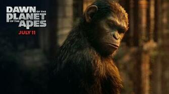 Dawn Of The Planet Apes Caesar Vs Koba Wallpaper Common