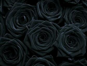 Related Pictures Gothic Rose Mobile Wallpaper