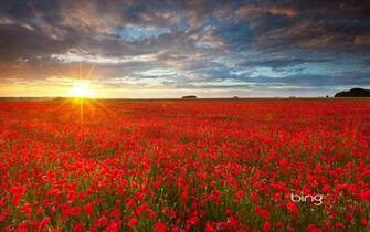 Sunrise Landscape Wallpaper Windows