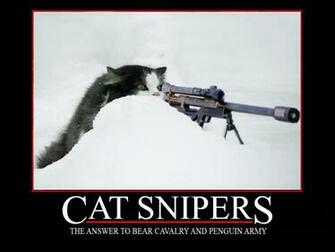 Cat Sniper Graphics Code Comments Pictures