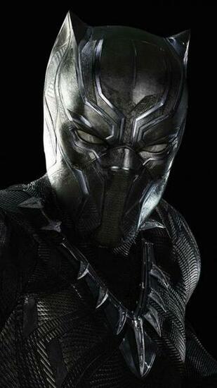 The Black Panther Wallpaper