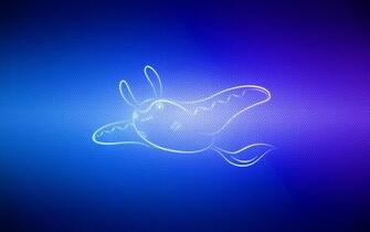 Wallpaper Swim Pokemon Mantine HD Background