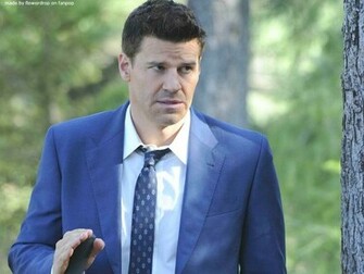 David Boreanaz Wallpaper