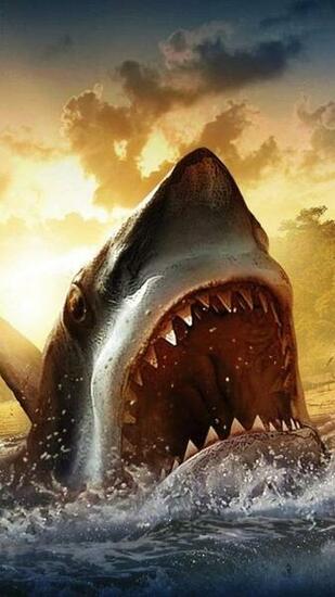 Wallpaper For Samsung Galaxy S6
