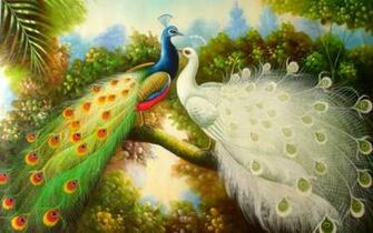 Lovely Peacocks Hidden Place Wallpaper
