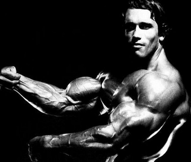 Bodybuilding HD Wallpaper