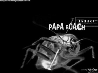 Papa Roach Wallpaper