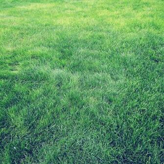 Ios7 Grass Parallax HD iPhone iPad Wallpaper