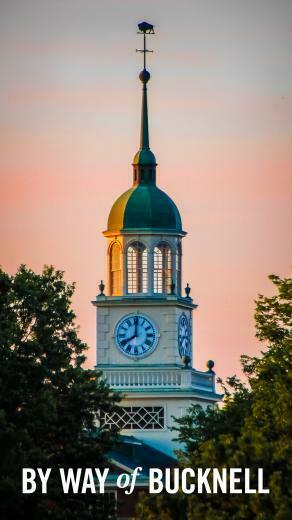 Bucknell Brand
