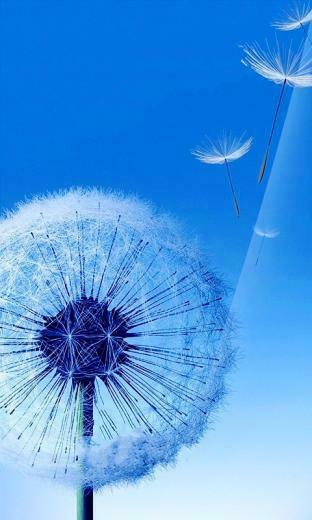 Samsung Galaxy S Iii Wallpaper By Allen6699