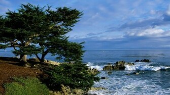 Nice Wallpaper Animals 3d Nature Beach
