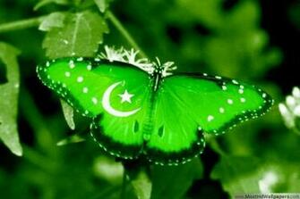 August Pakistan Independence Day HD Wallpaper Most