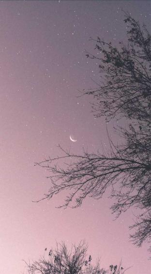 Beautiful Sky Full Of Stars Idea Wallpaper iPhone