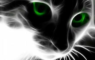 Cats Wallpaper Catfor To More Abstract