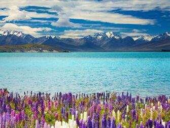 New Zealand Lake Tekapo 4k Ultra HD Wallpaper Net