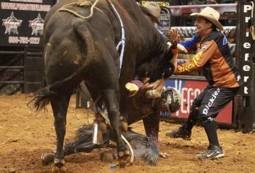 Bull Riding Bullrider Rodeo Western Cowboy Extreme Cow