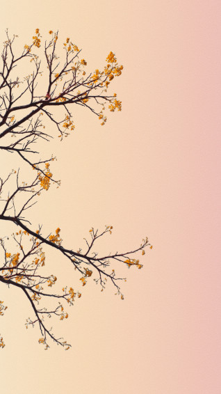 Cute Pastel Wallpaper
