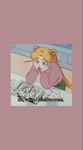 Oh I Wish Could Be A Cat Sailor Moon Wallpaper