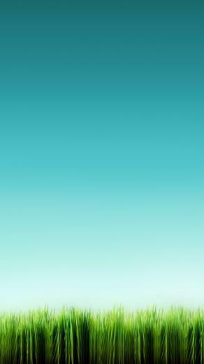 HD Wallpaper iPhone Nature