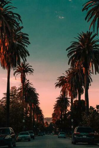 All The Bachelor Destinations You Need To Visit In Six Two