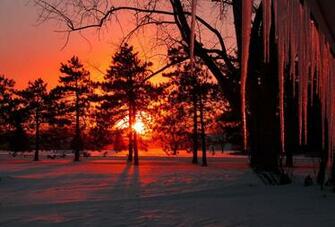 Winter Sunset Wallpaper
