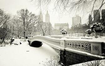 Winter In Central Park Wallpaper