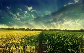 Most Ed Surreal Wallpaper Full HD Search