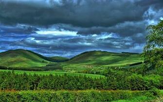 Landscapes Nature Wallpaper Forest