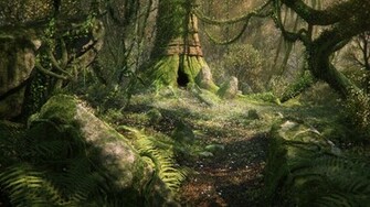Green Woods Wallpaper S