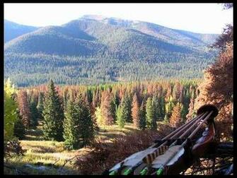 Stickbow S Leatherwall Traditional Archery Discussion Forum