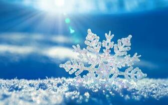Widescreen Winter Wallpaper In High Resolution HD For