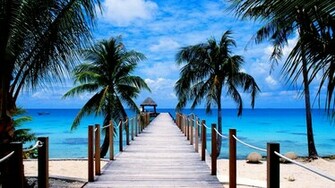 Tropical Beach Paradise Wallpaper High Quality