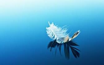 Mood Bokeh Feather Water Reflection Zen Wallpaper Background