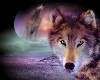 Wolf Wallpaper HD In Animals Imageci