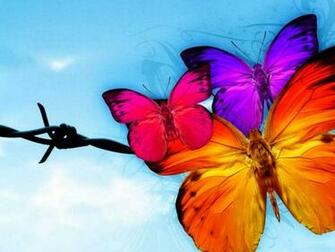 Live Butterfly Wallpaper Beautiful Desktop