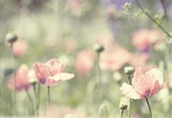 Simply Orthodox The Lenten Spring Has Arrived