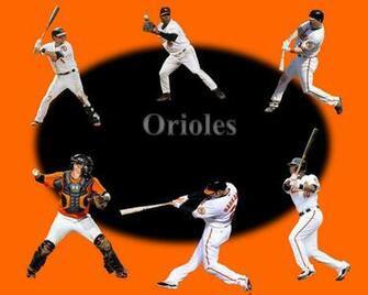Baltimore Oriole Wallpaper