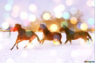 Horses Running In The Snow Christmas Background