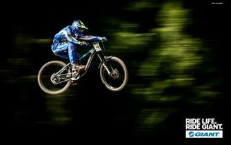 Gallery For Gt Giant Road Bike Wallpaper