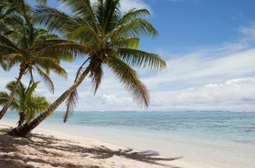 Tropical Beach Scene Wall Murals Online Photowall