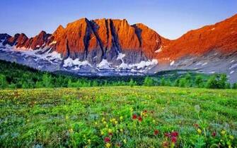 HD Mountain Meadow Wallpaper