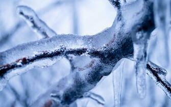 Alpha Coders Earth Ice