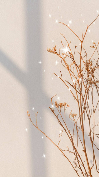 Top Beige Aesthetic Phone Wallpaper Full HD 4k To Use