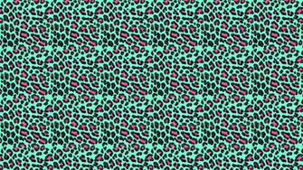 Animal Print Desktop Wallpaper