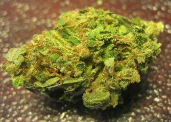 Sour Diesel Graphics Code Comments Pictures