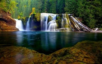 Url Smscs Photo Forest Html
