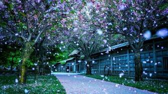 Winter Nature Wallpaper Desktop Flip