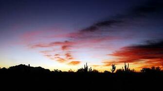 Nature Sunset Above A Cactus Field Picture Nr