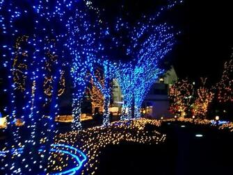 Christmas Lights Desktops Image