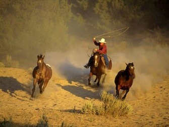 Wild Horses Round Up And Cowboys Computer Desktop